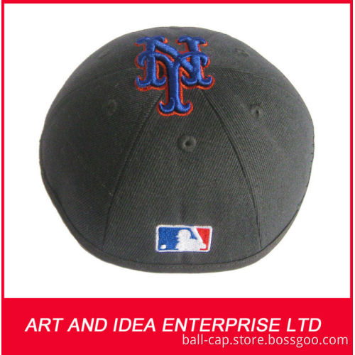 3d picture hat body